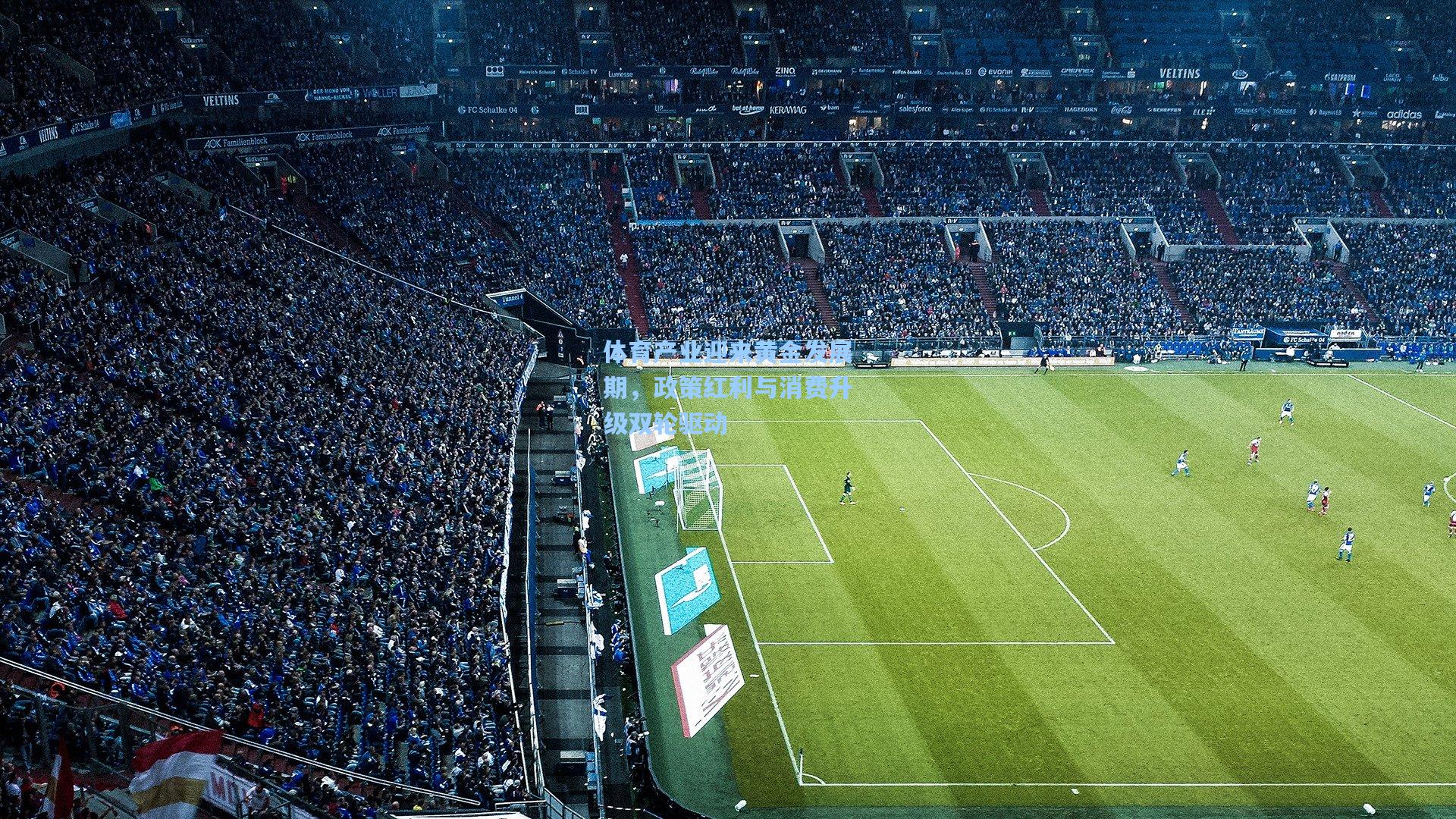 体育产业迎来黄金发展期，政策红利与消费升级双轮驱动